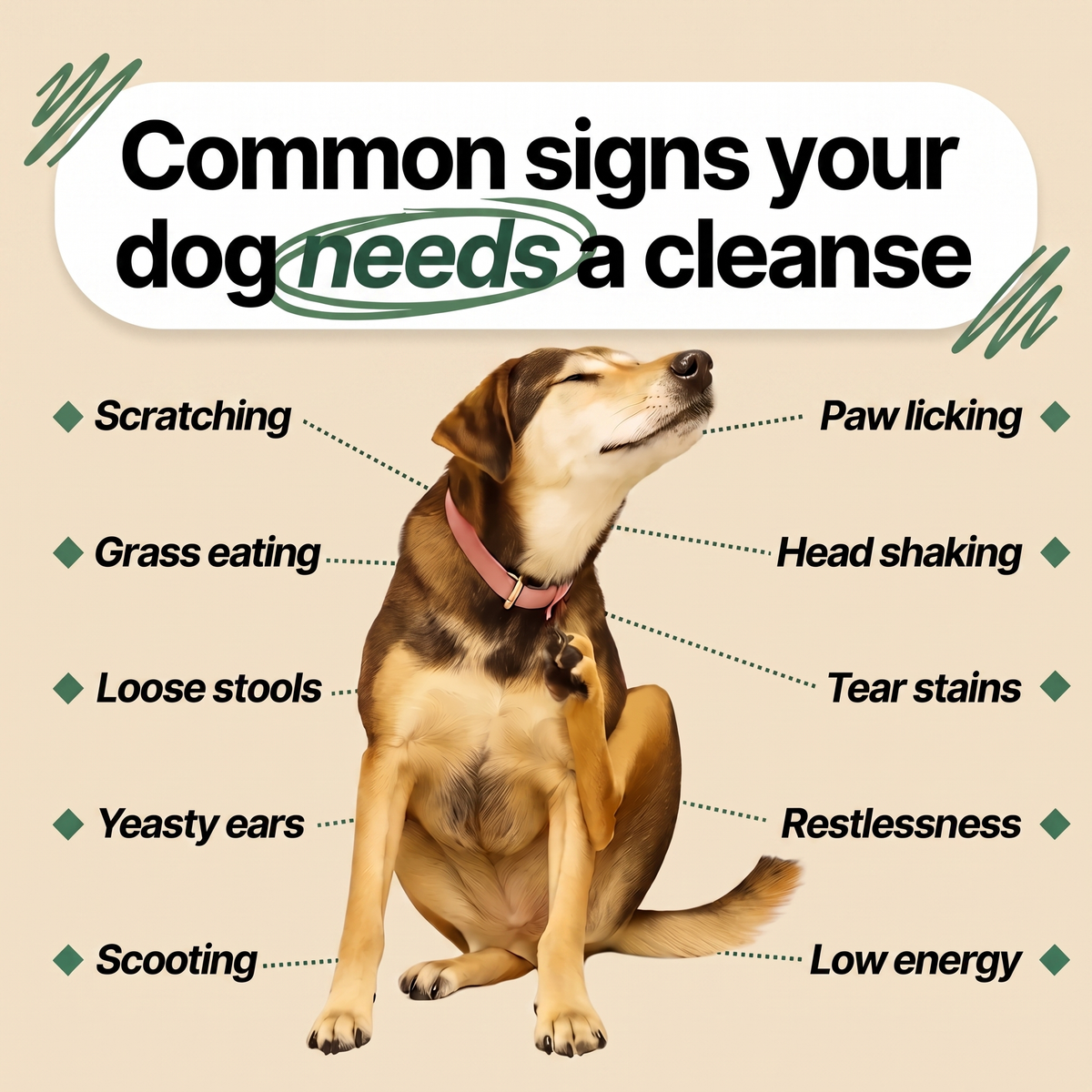 PawsyLabs™ Parasite Cleanse Drops